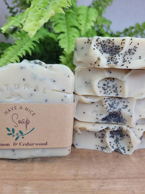 Natural Soap Bar 100gr (See Options)