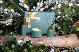 Gift Set - Into the Woods